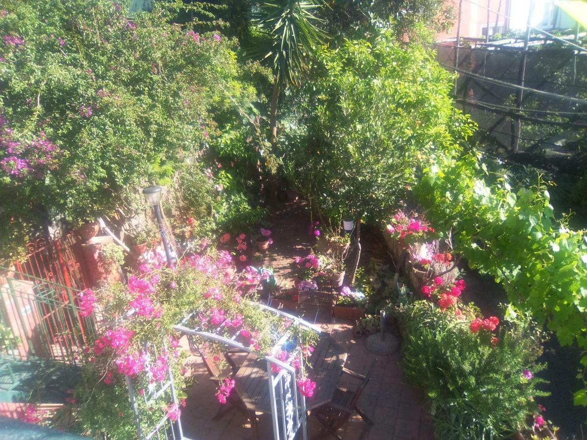 Isabella Massalubrense Villa Massa Lubrense Ngoại thất bức ảnh