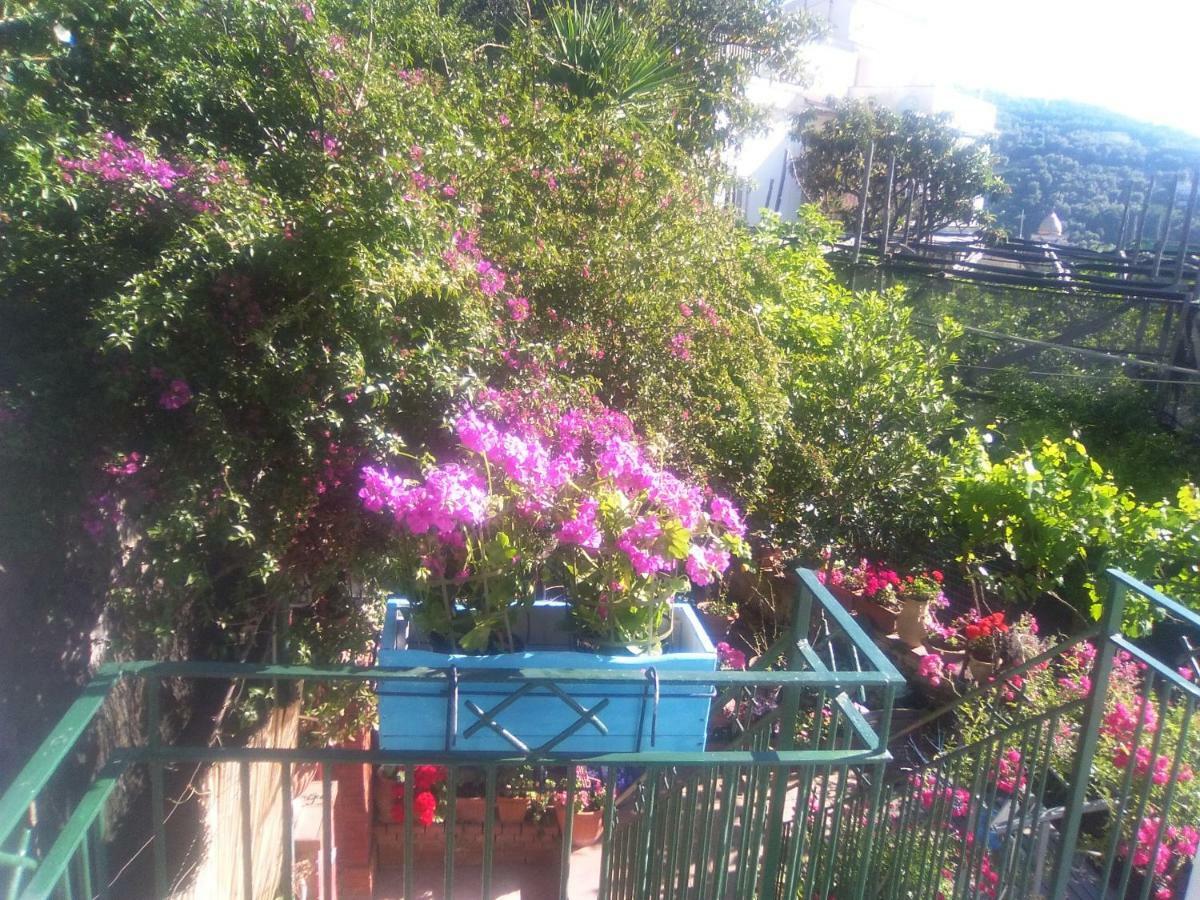 Isabella Massalubrense Villa Massa Lubrense Ngoại thất bức ảnh